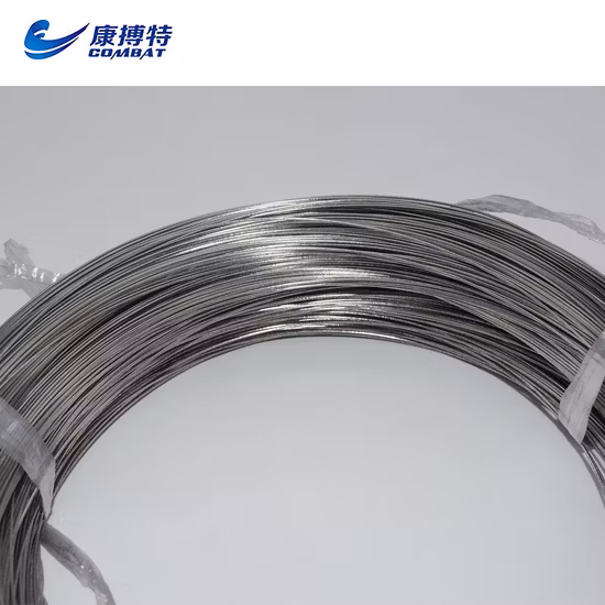 Gr1 Titanium Wire Dia1mm New Product in China Combat Company